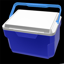 10-Pint Ice Cooler